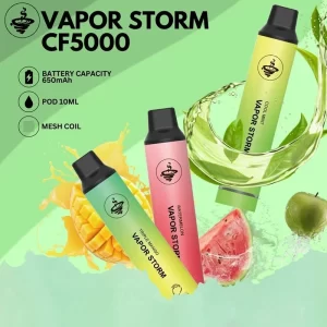 VAPOR STORM 風暴CF5000 飛霧拋棄式電子煙