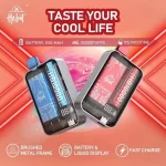 喜貝拋棄式電子煙