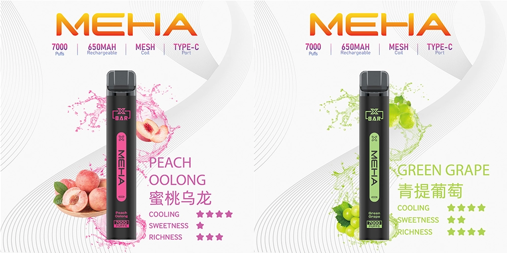 MEHA VBar 小黑條 7000 Puffs 口味