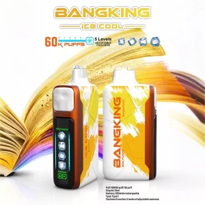 Bang king 60000口 5檔可調冰度 一次性拋棄式